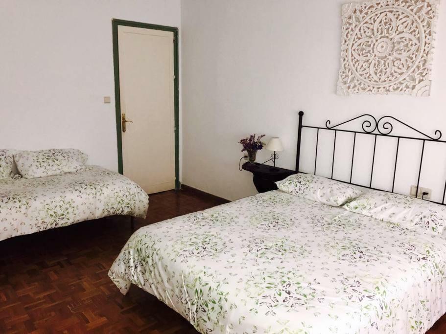 Apartamento Piso centro de Córdoba Exterior foto